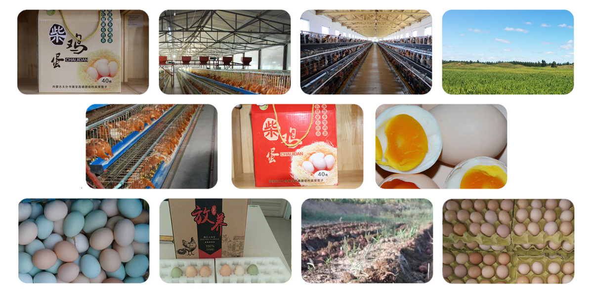 微信图片_20190103143545.jpg